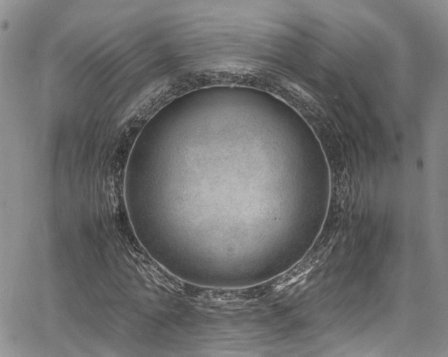 X0000064750774200602101212