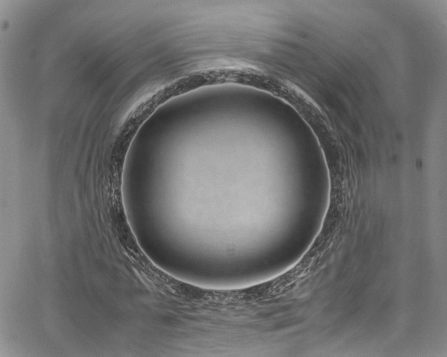 X0000064750775200602101212