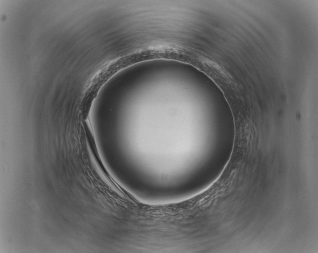 X0000064750776200602101212