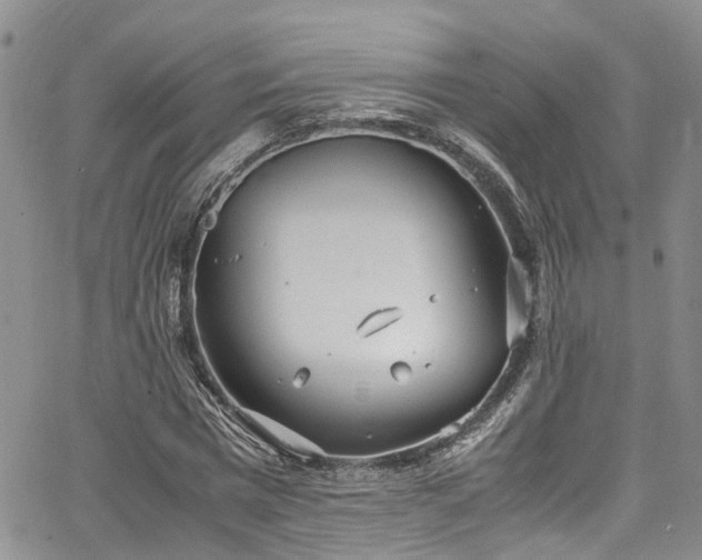 X0000064750777200602101212