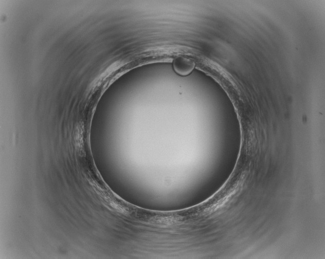 X0000064750778200602101212