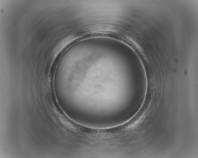 X0000064750779200602101212