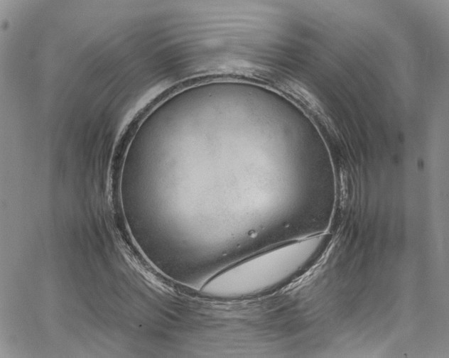 X0000064750780200602101212