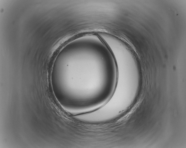 X0000064750781200602101212