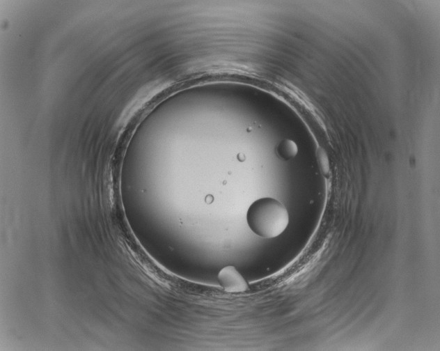 X0000064750782200602101212