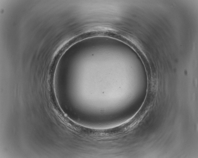 X0000064750783200602101212