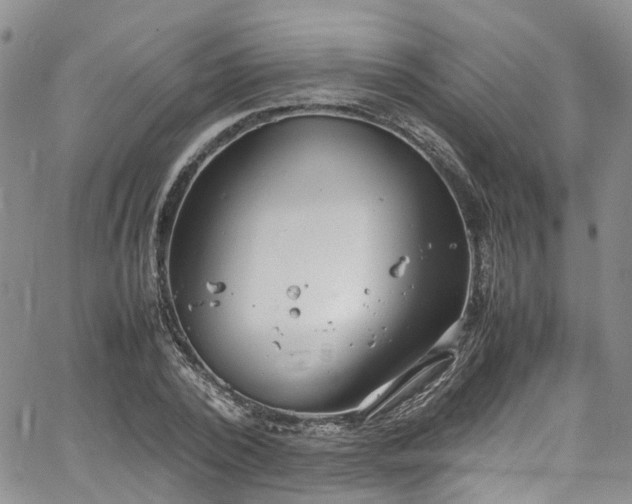 X0000064750784200602101212