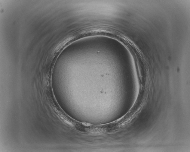 X0000064750785200602101212