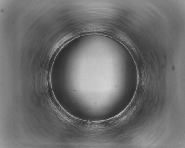 X0000064750786200602101212