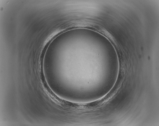 X0000064750787200602101212