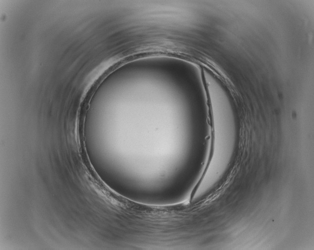 X0000064750788200602101212