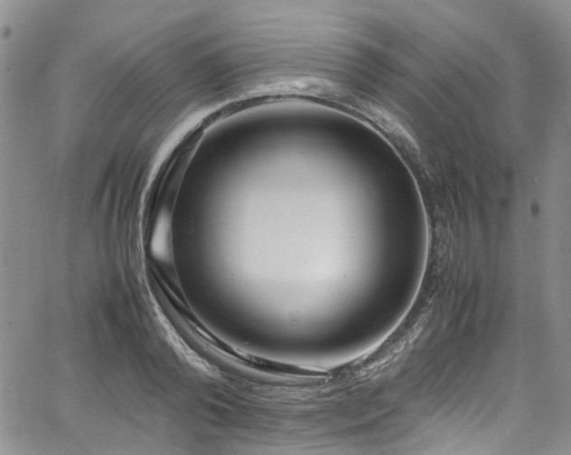 X0000064750792200602101211