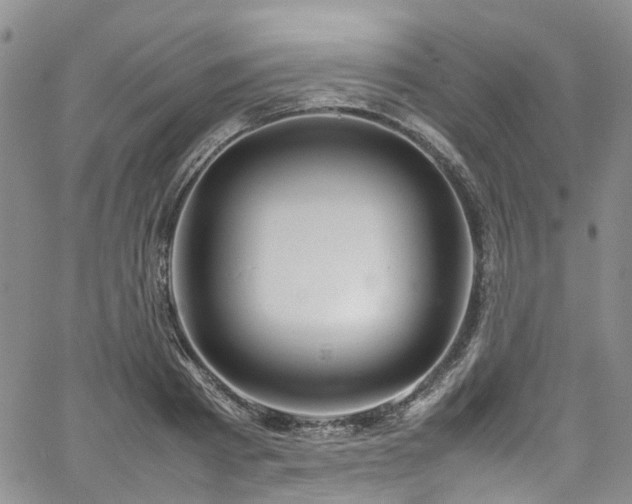 X0000064750793200602101211