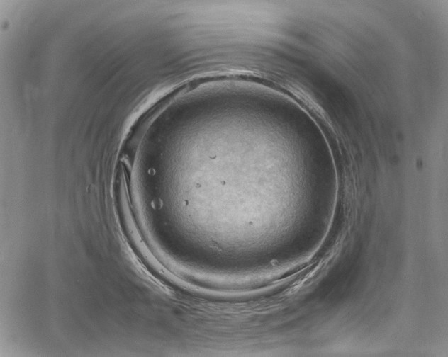 X0000064750797200602101211