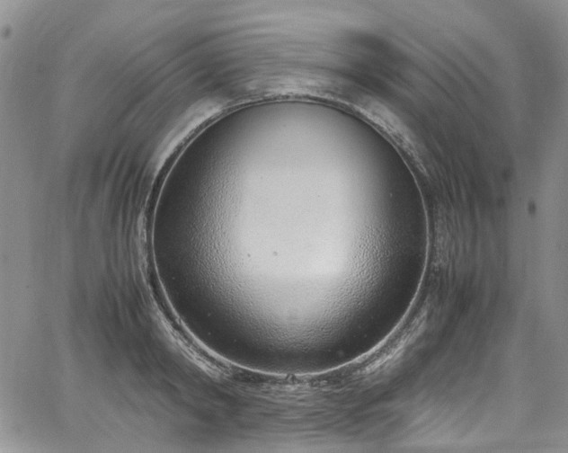 X0000064750798200602101211