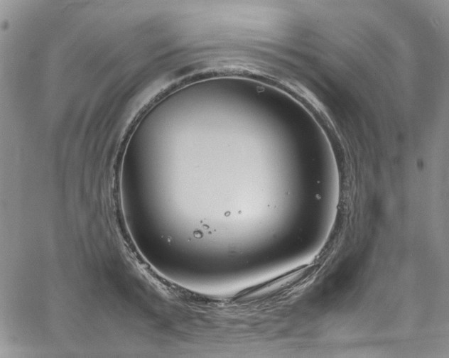 X0000064750799200602101211