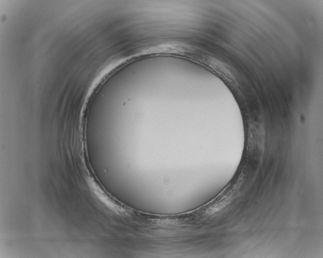 X0000064750800200602101211