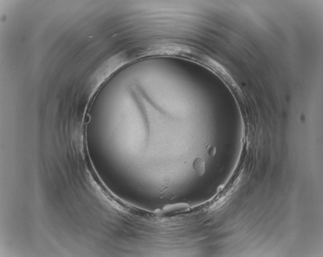 X0000064750802200602101211