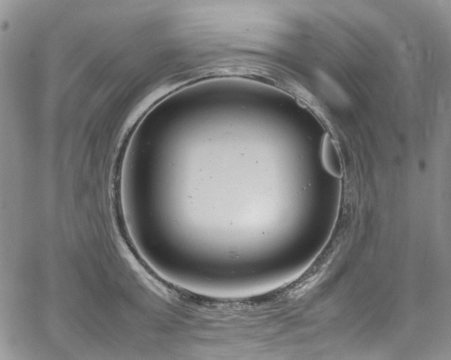 X0000064750803200602101211