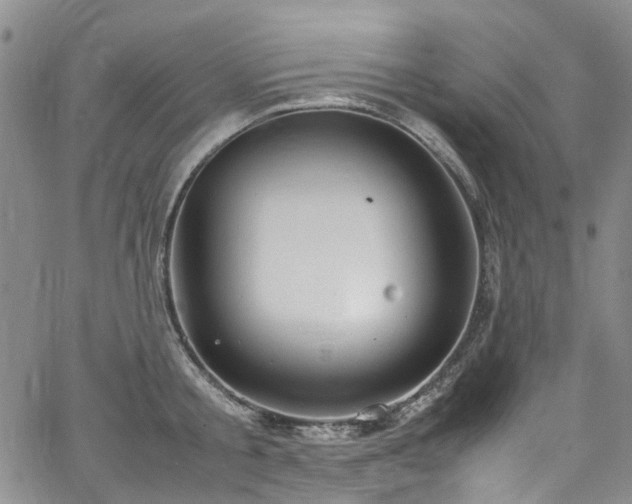 X0000064750805200602101211