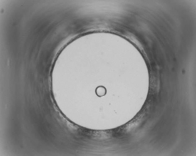 X0000064750807200602101211