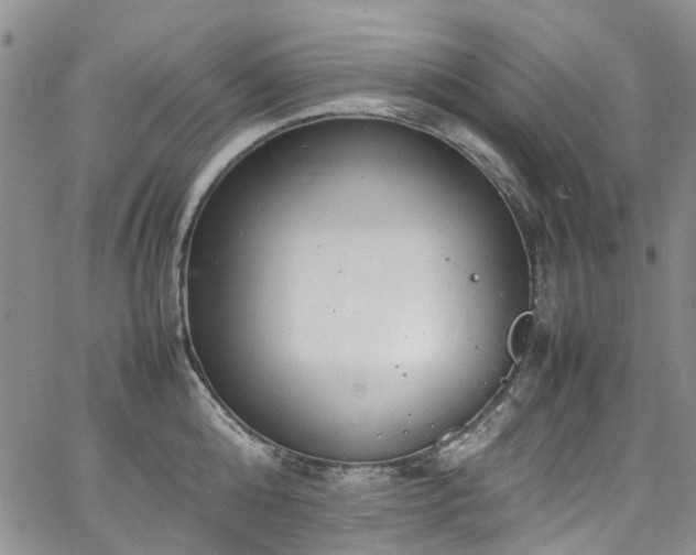 X0000064750808200602101211