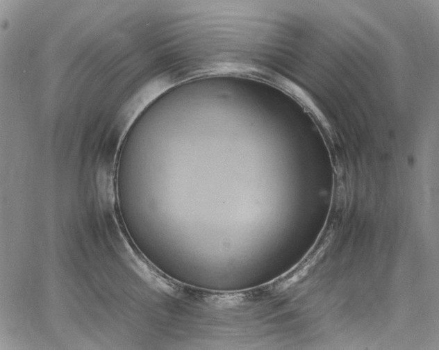 X0000064750810200602101211