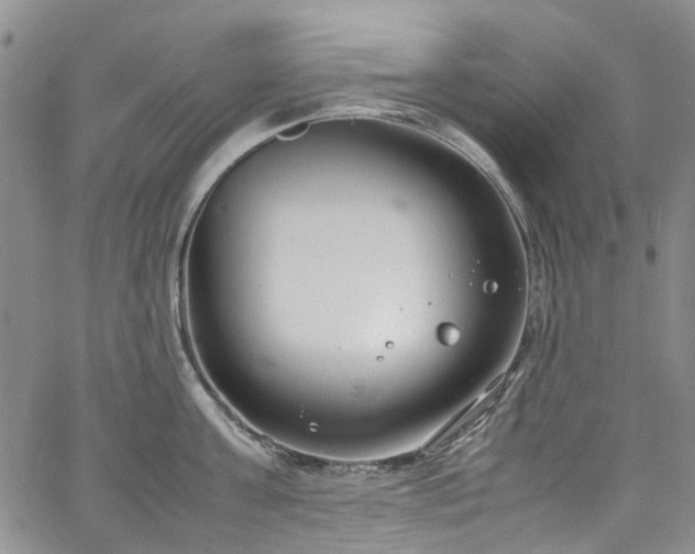 X0000064750811200602101211