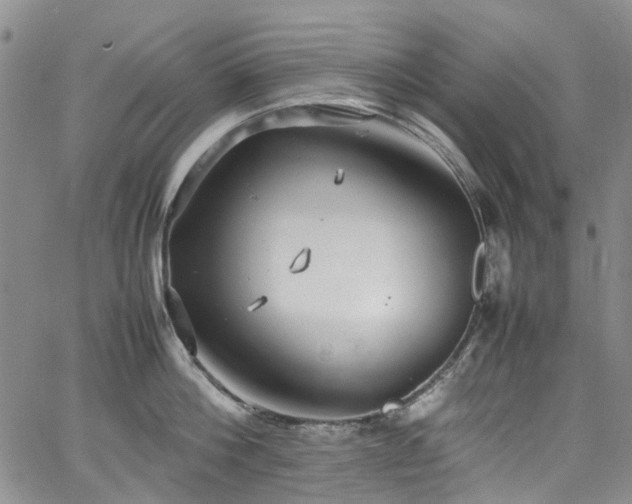 X0000064750812200602101211