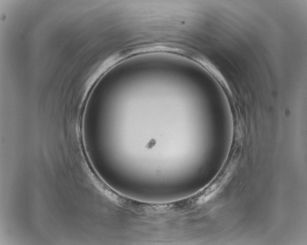 X0000064750813200602101211