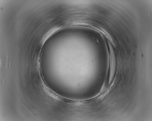 X0000064750814200602101211