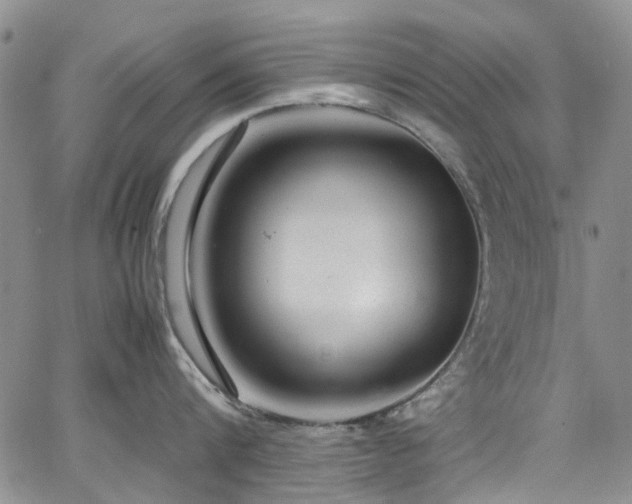 X0000064750816200602101211