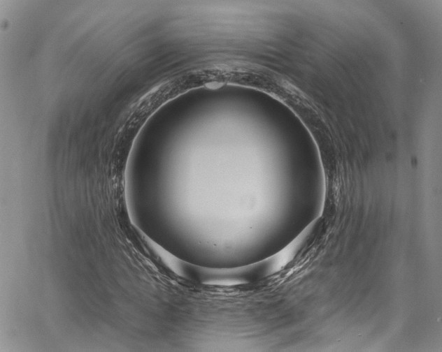 X0000064750822200602101210