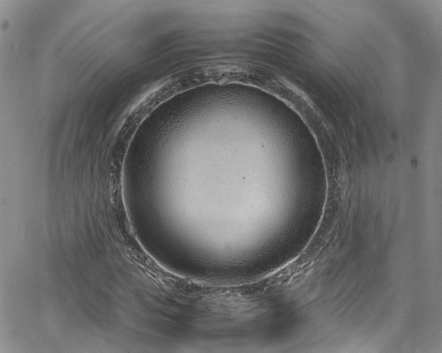 X0000064750823200602101210