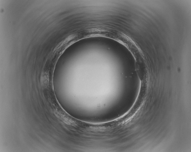 X0000064750825200602101210