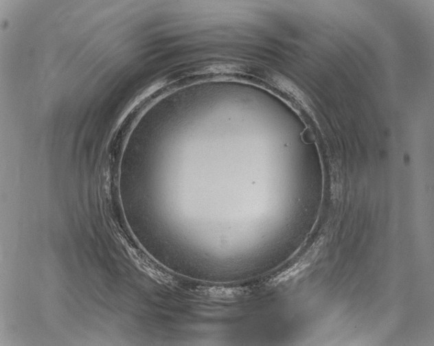 X0000064750827200602101210