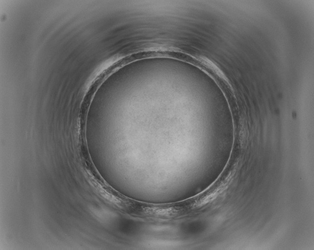 X0000064750831200602101211