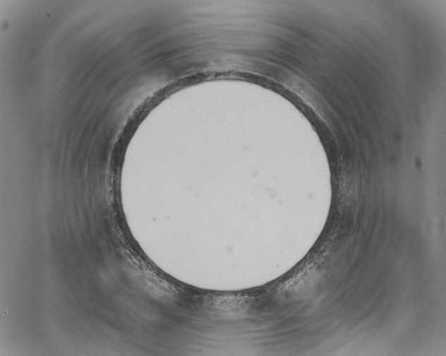 X0000064750832200602101211