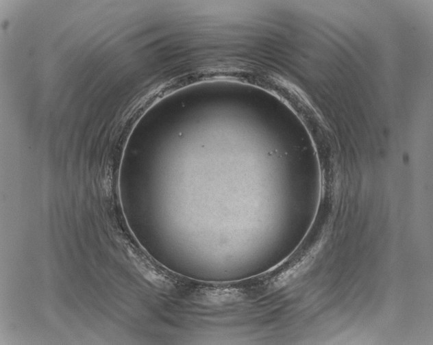 X0000064750833200602101211