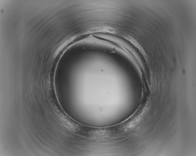 X0000064750834200602101211