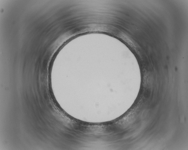 X0000064750836200602101211