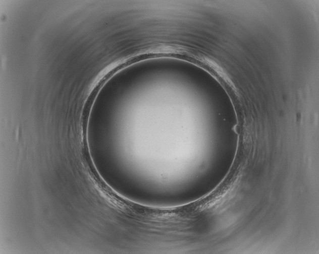 X0000064750837200602101211