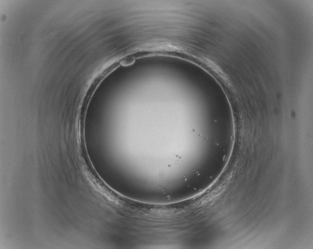 X0000064750840200602101211