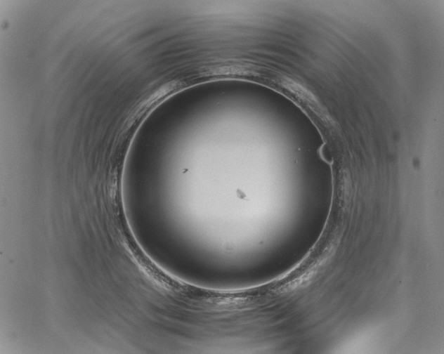 X0000064750841200602101211