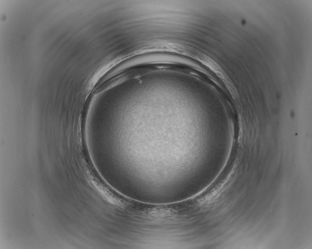 X0000064750842200602101211