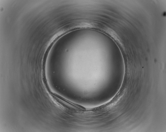 X0000064750845200602101211