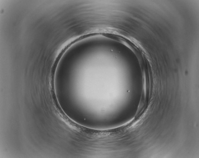 X0000064750846200602101211