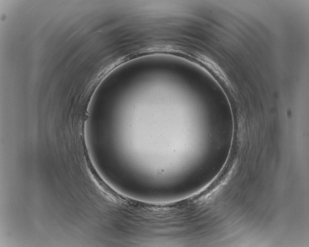 X0000064750849200602101211