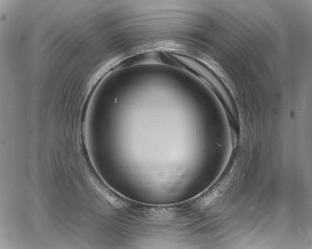 X0000064750850200602101211