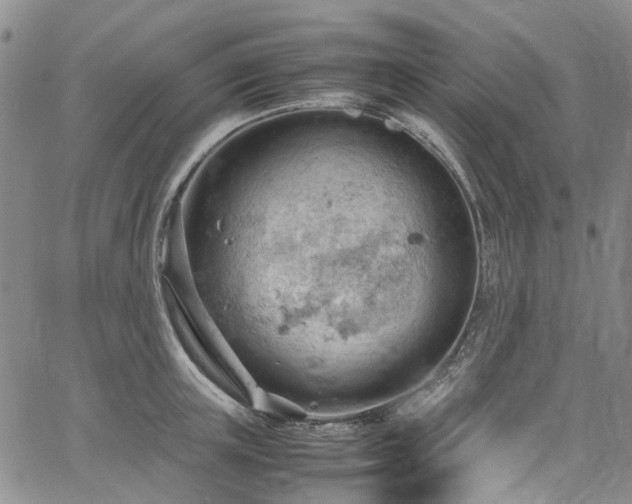 X0000064750851200602101211